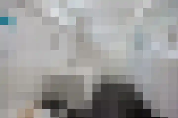 Zomereik 46 Den Haag thumbnail 24