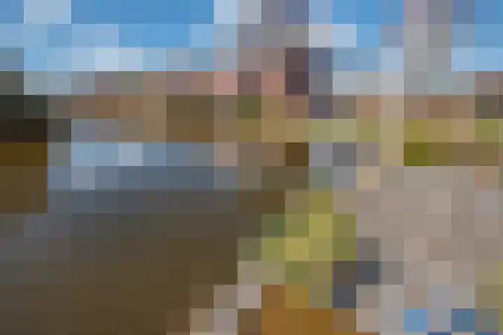 Zomereik 46 Den Haag thumbnail 33