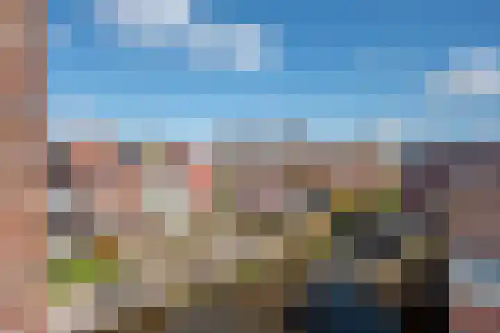 Zomereik 46 Den Haag thumbnail 37
