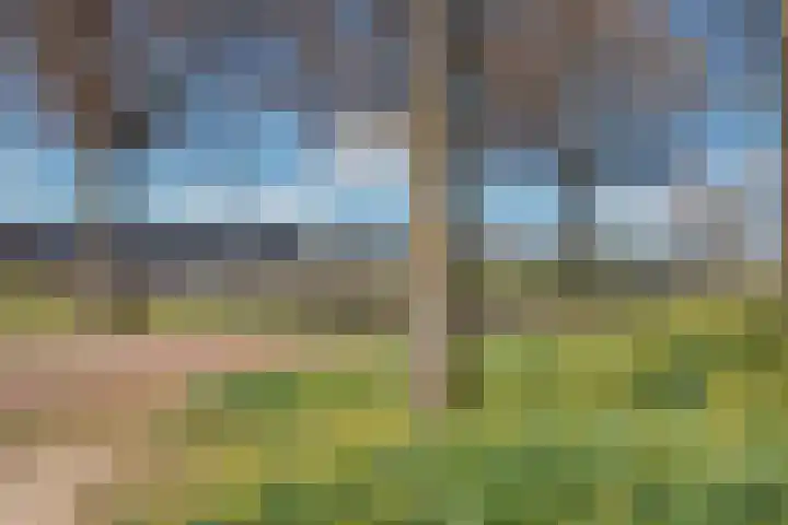 Zomereik 46 Den Haag thumbnail 39