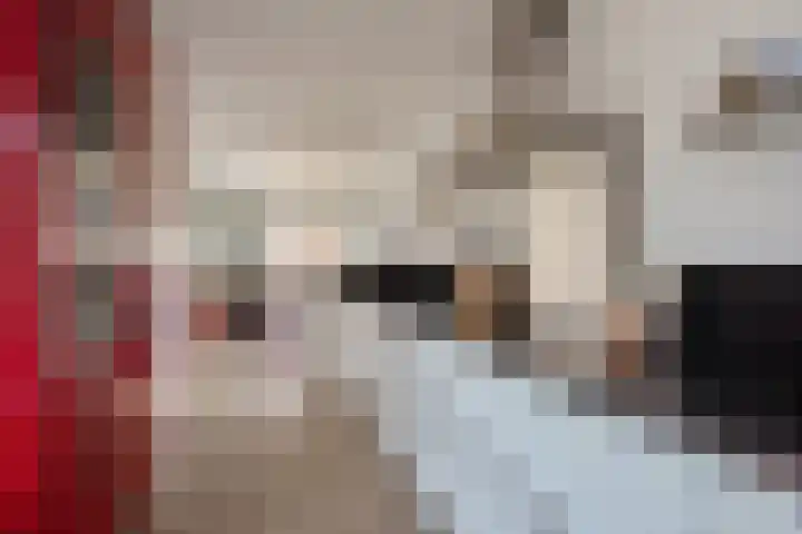 Zomereik 46 Den Haag thumbnail 9