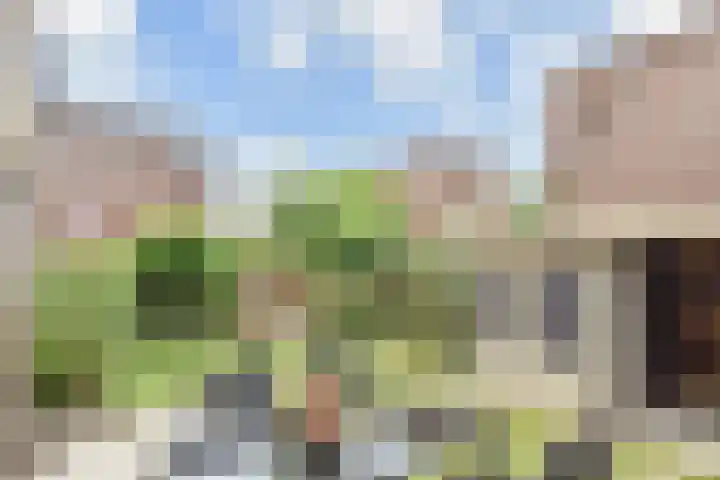 Zomereik 48 Den Haag thumbnail 12