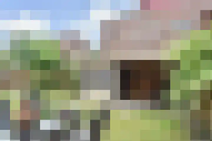 Zomereik 48 Den Haag thumbnail 14