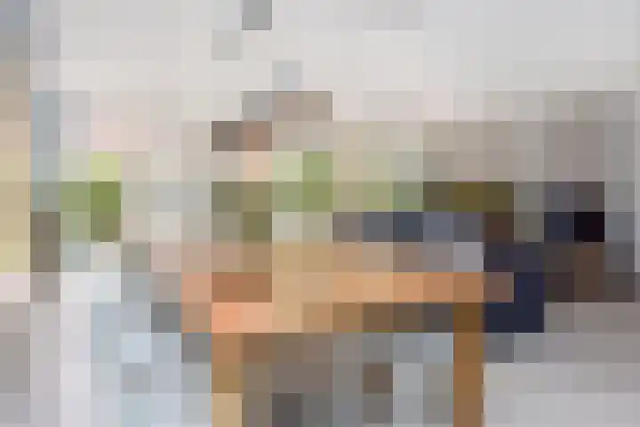 Zomereik 48 Den Haag thumbnail 19