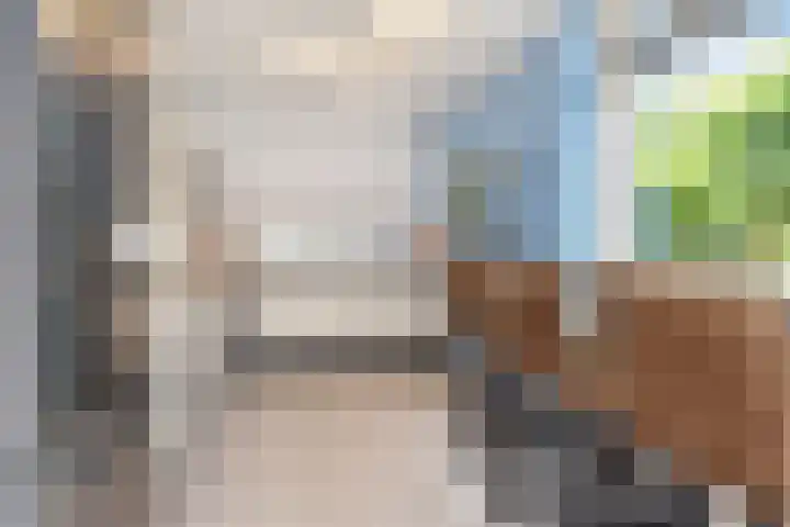 Zomereik 48 Den Haag thumbnail 22