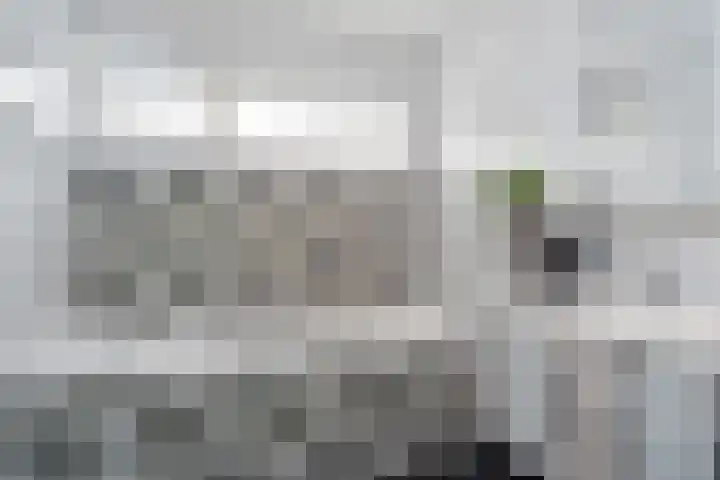 Zomereik 48 Den Haag thumbnail 34
