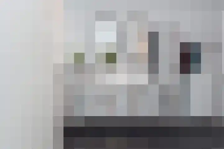 Zomereik 48 Den Haag thumbnail 35