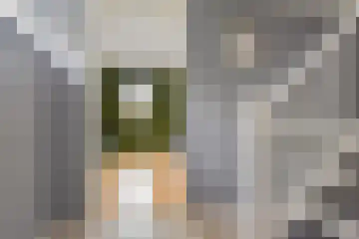 Zomereik 48 Den Haag thumbnail 37