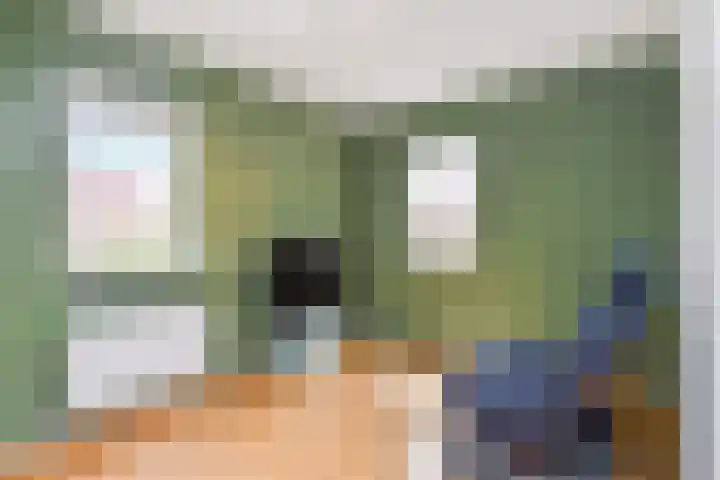 Zomereik 48 Den Haag thumbnail 38