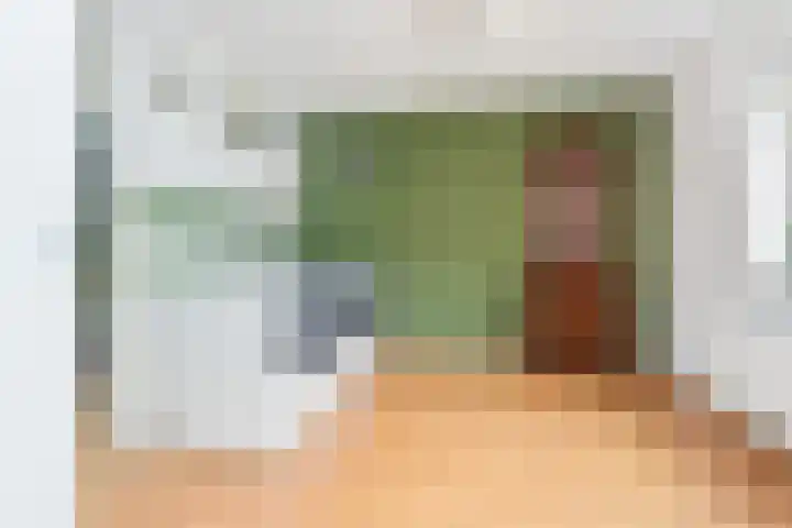 Zomereik 48 Den Haag thumbnail 41