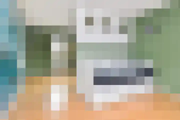 Zomereik 48 Den Haag thumbnail 42