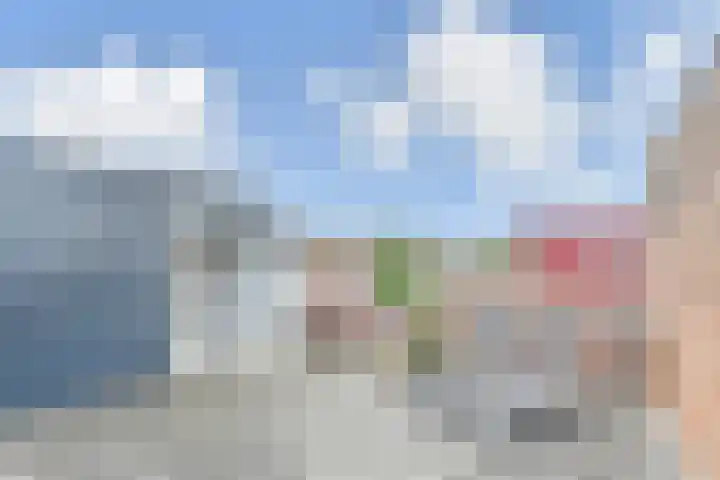 Zomereik 48 Den Haag thumbnail 49