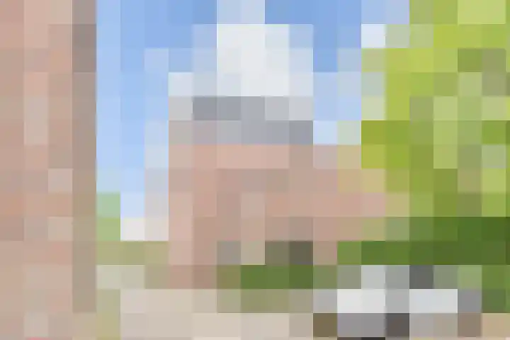 Zomereik 48 Den Haag thumbnail 53