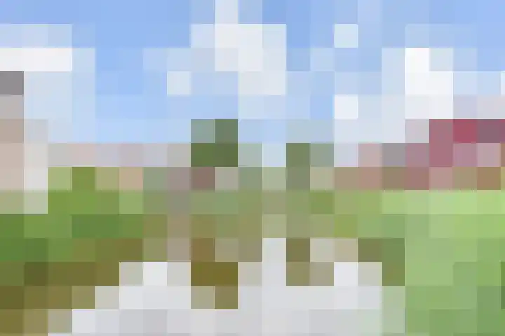 Zomereik 48 Den Haag thumbnail 56
