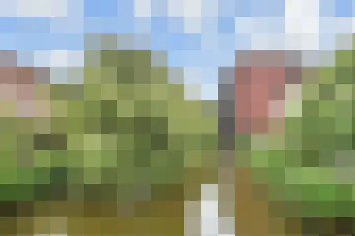 Zomereik 48 Den Haag thumbnail 57