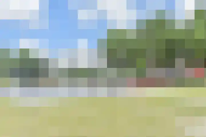Zomereik 48 Den Haag thumbnail 58