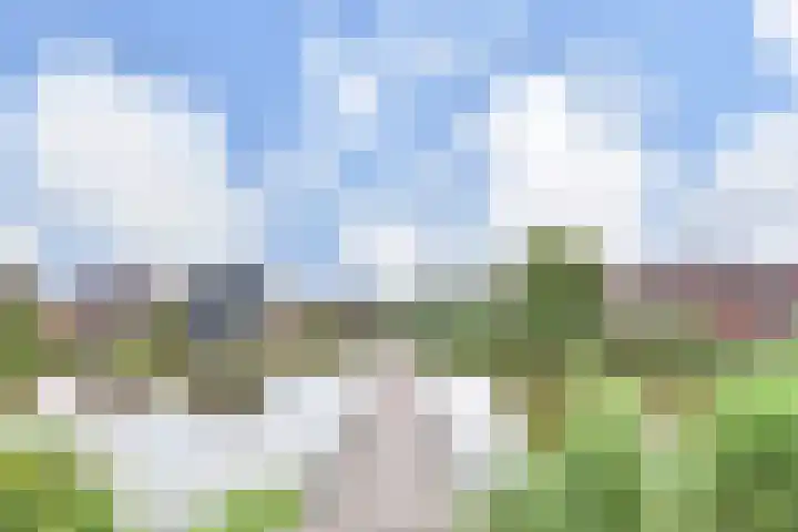 Zomereik 48 Den Haag thumbnail 59