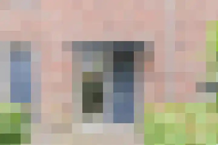 Zomereik 48 Den Haag thumbnail 6