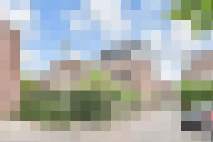 Zomereik 48 Den Haag thumbnail 68