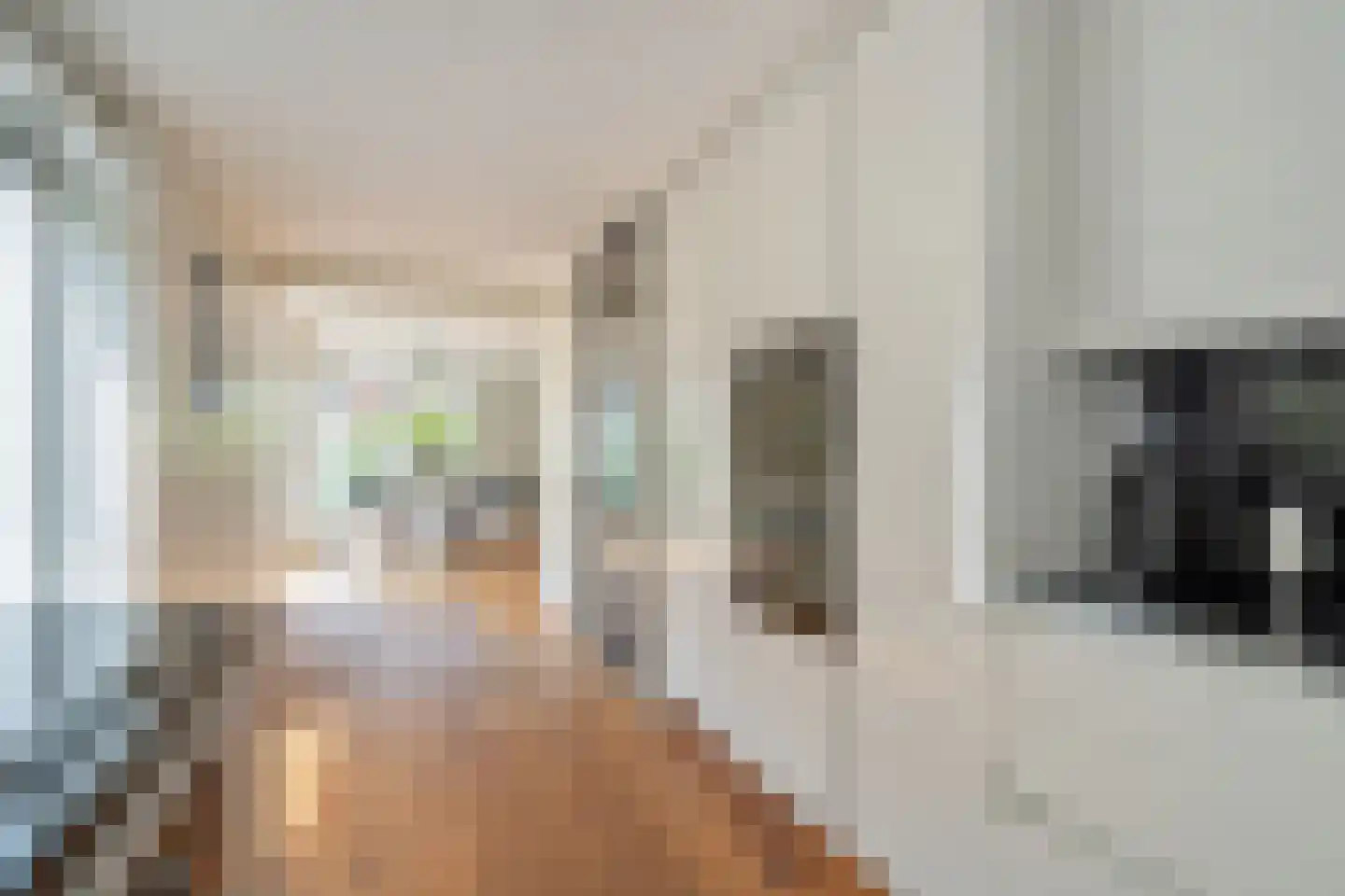 Zomereik 50 Den Haag thumbnail 17