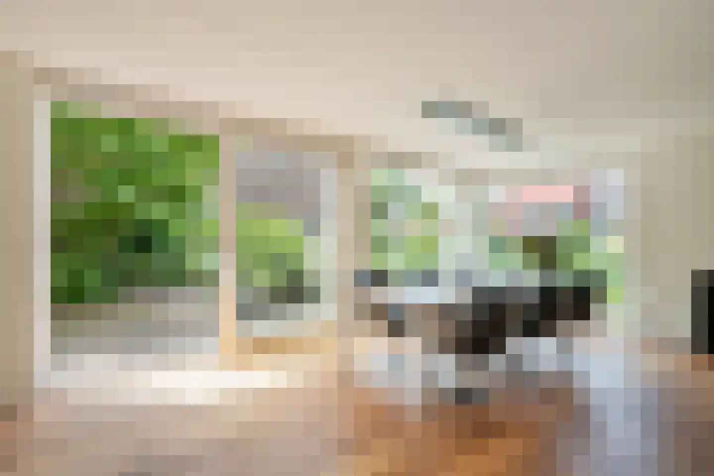 Zomereik 50 Den Haag thumbnail 18