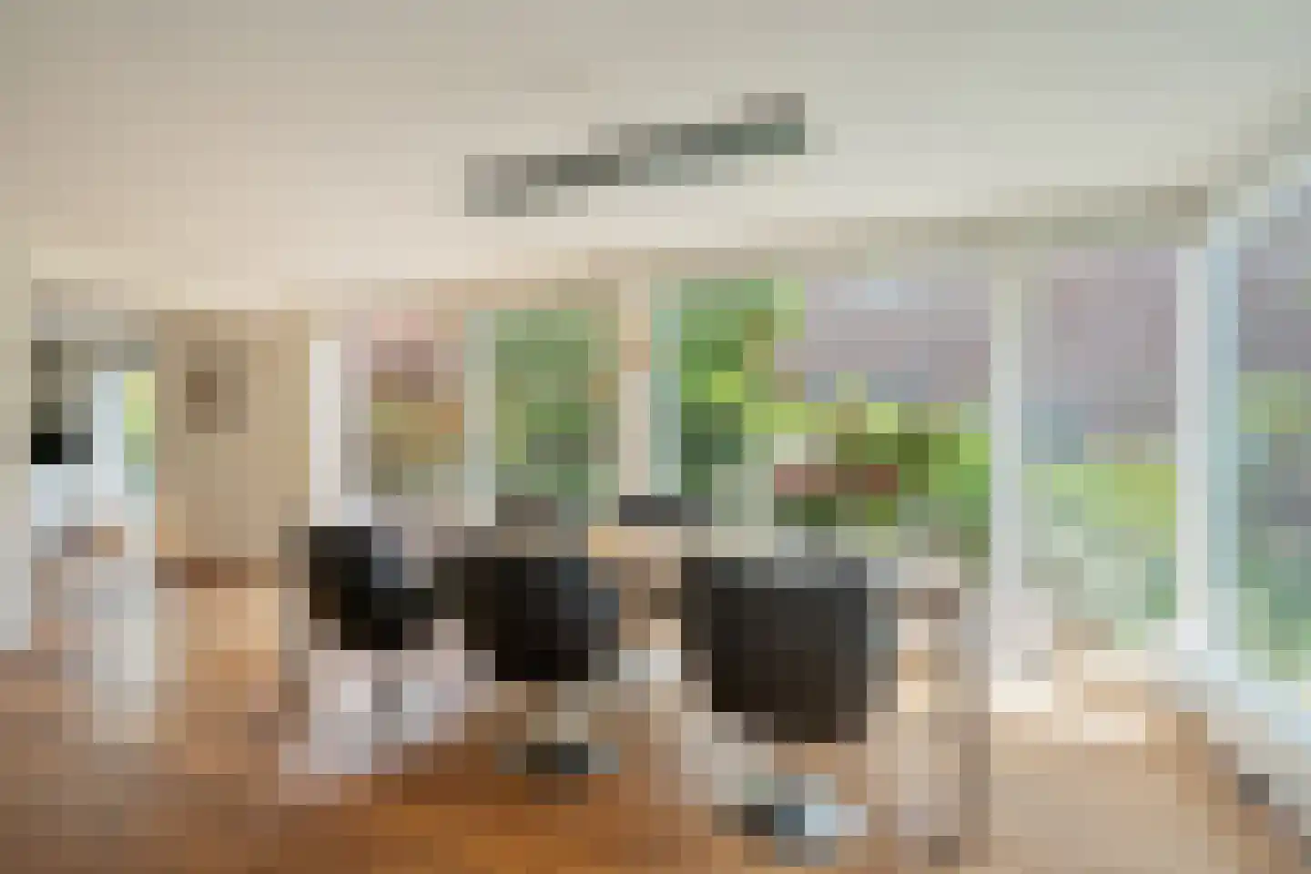 Zomereik 50 Den Haag thumbnail 20