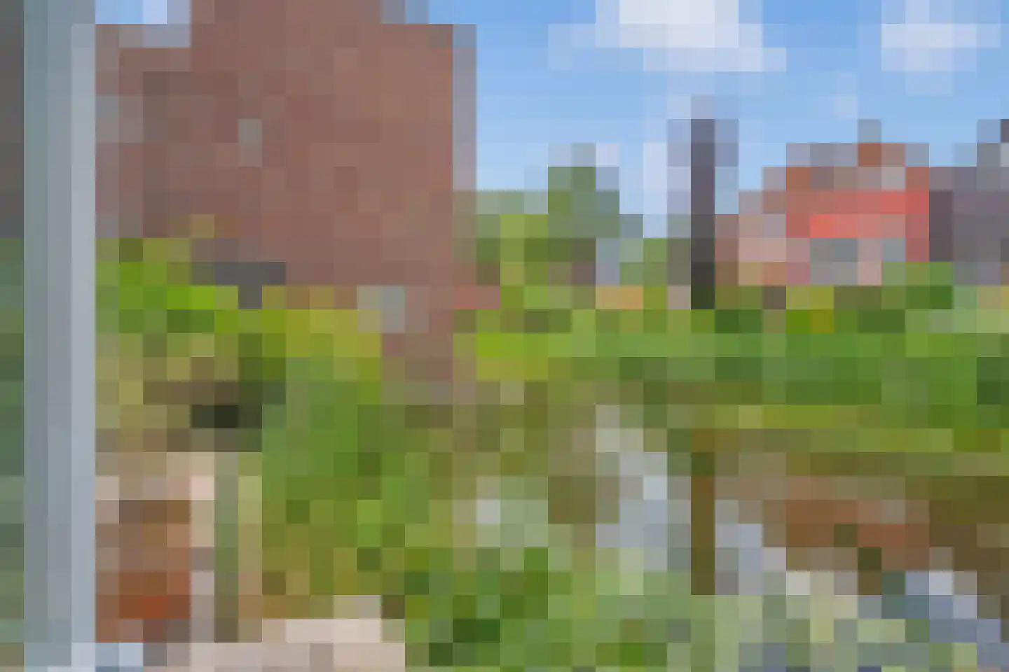Zomereik 50 Den Haag thumbnail 22