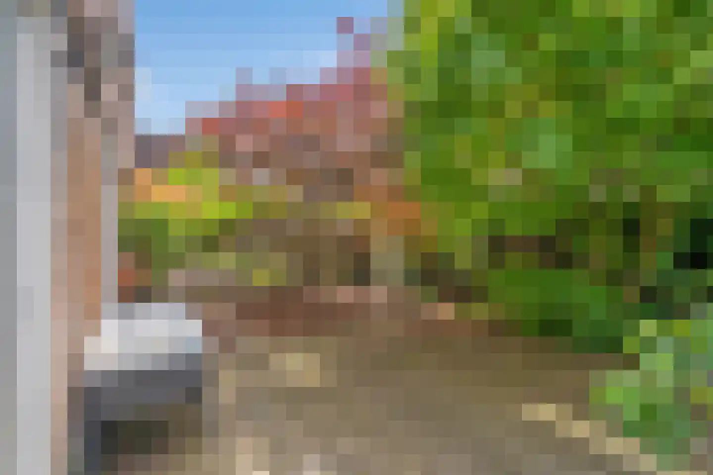 Zomereik 50 Den Haag thumbnail 24