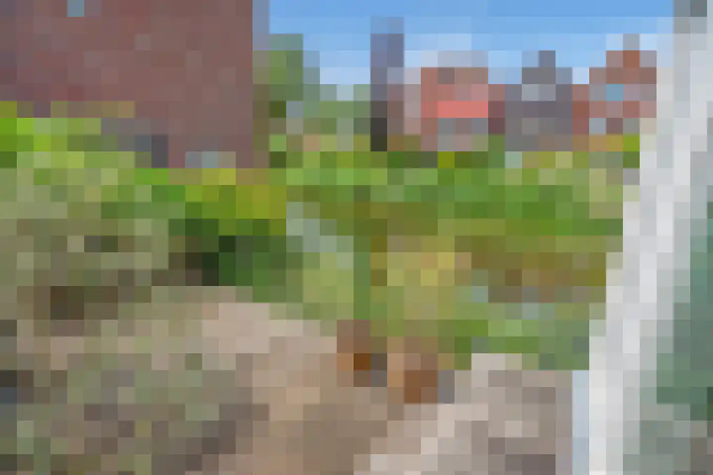 Zomereik 50 Den Haag thumbnail 25