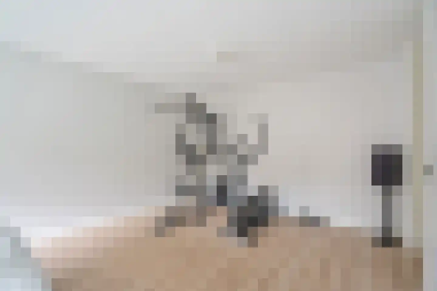 Zomereik 50 Den Haag thumbnail 27