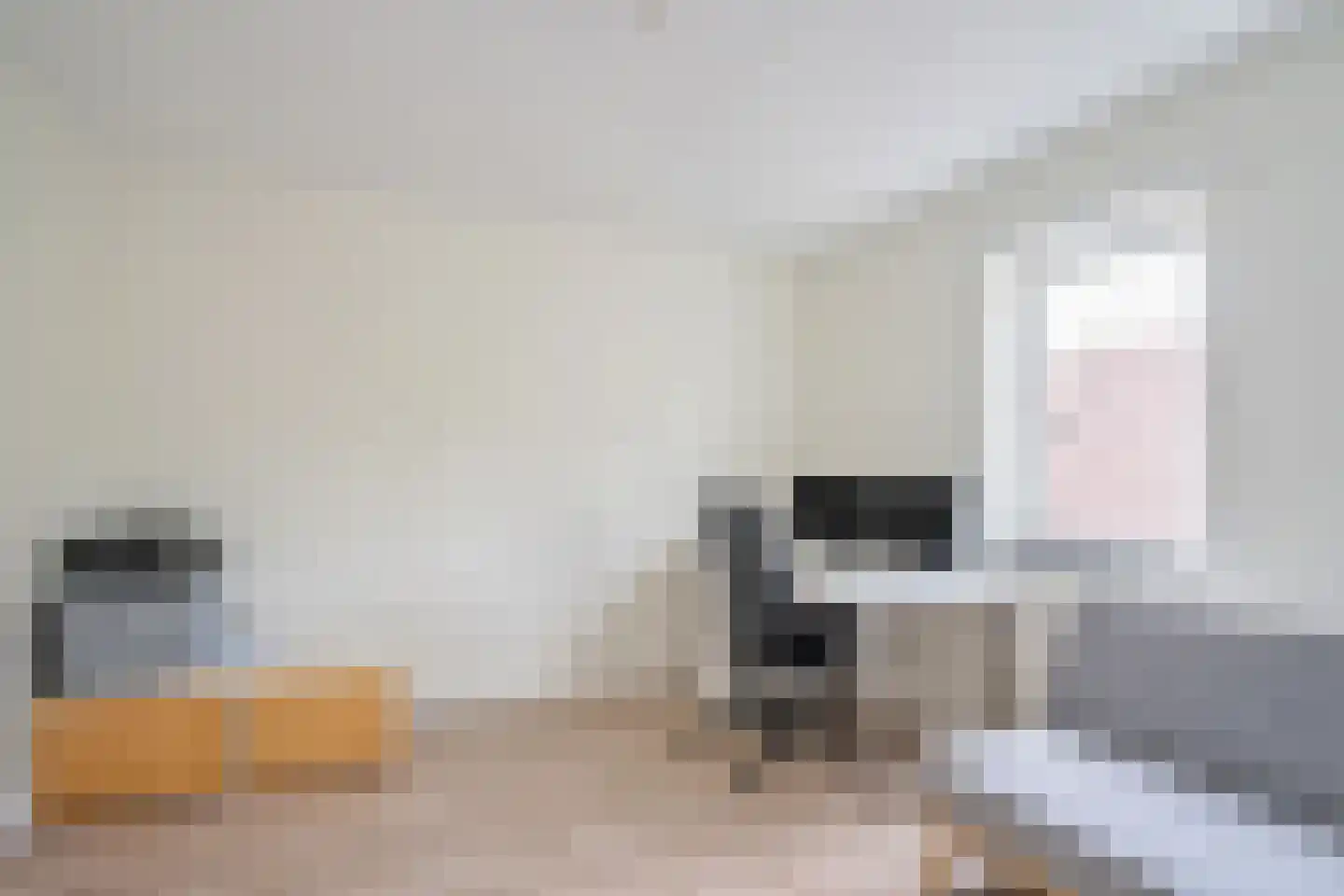 Zomereik 50 Den Haag thumbnail 36