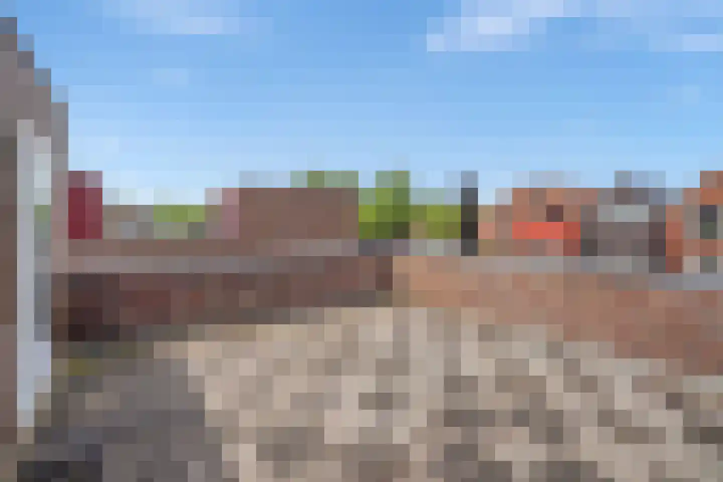 Zomereik 50 Den Haag thumbnail 42