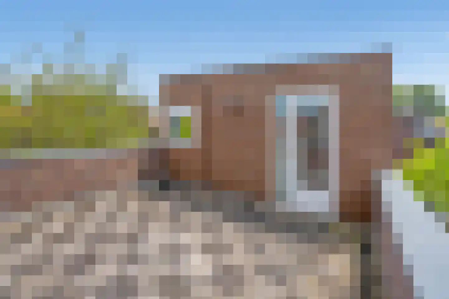 Zomereik 50 Den Haag thumbnail 43