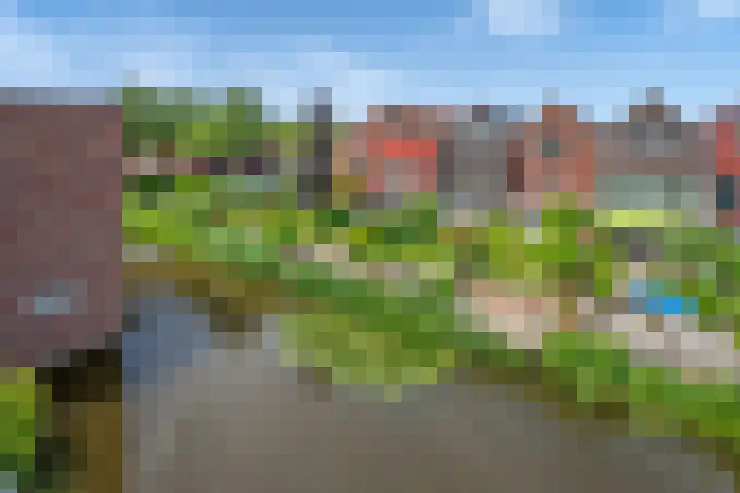 Zomereik 50 Den Haag thumbnail 44