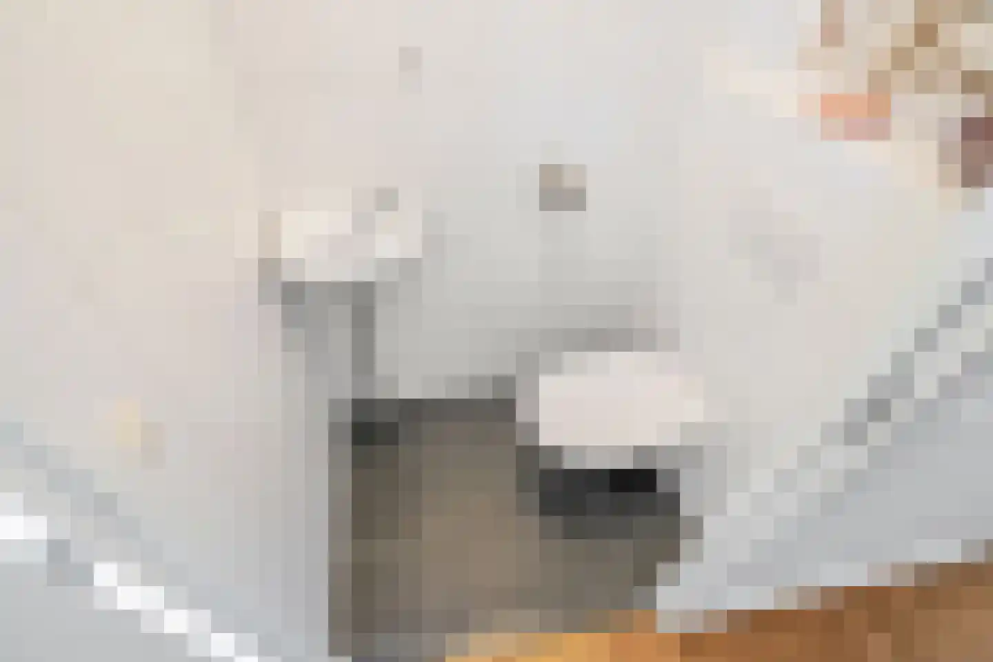 Zomereik 50 Den Haag thumbnail 9