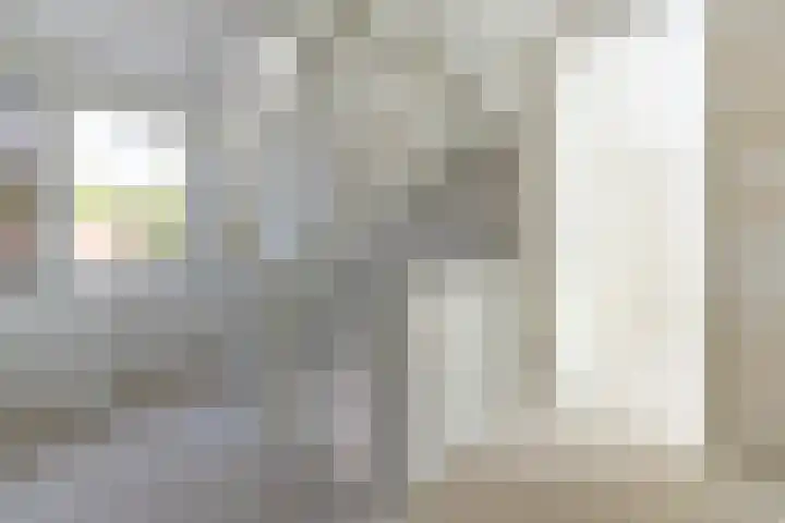 Zomereik 6 Cruquius thumbnail 14