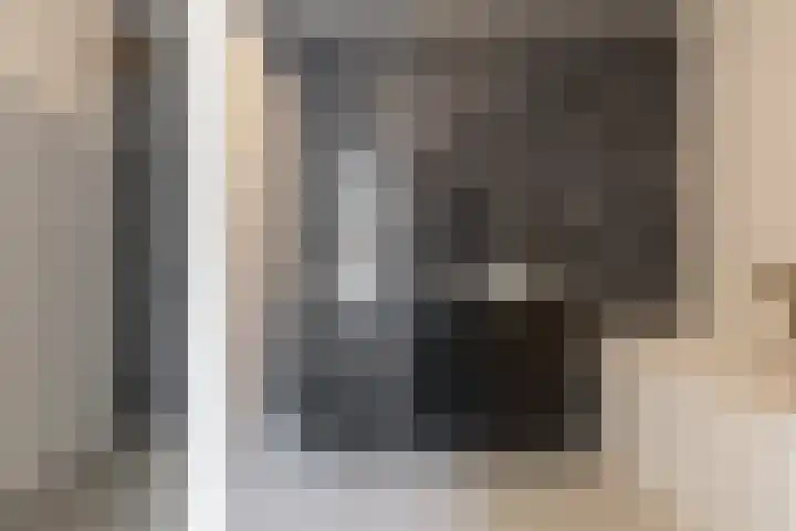 Zomereik 6 Cruquius thumbnail 17
