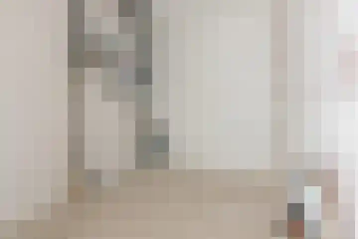 Zomereik 6 Cruquius thumbnail 27