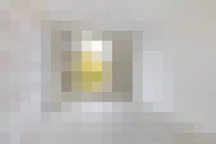 Zomereik 6 Cruquius thumbnail 29