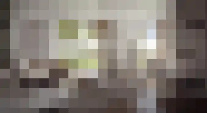 Zomereik 6 Cruquius thumbnail 32
