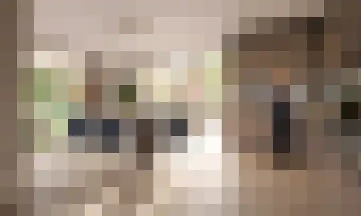 Zomereik 6 Cruquius thumbnail 33
