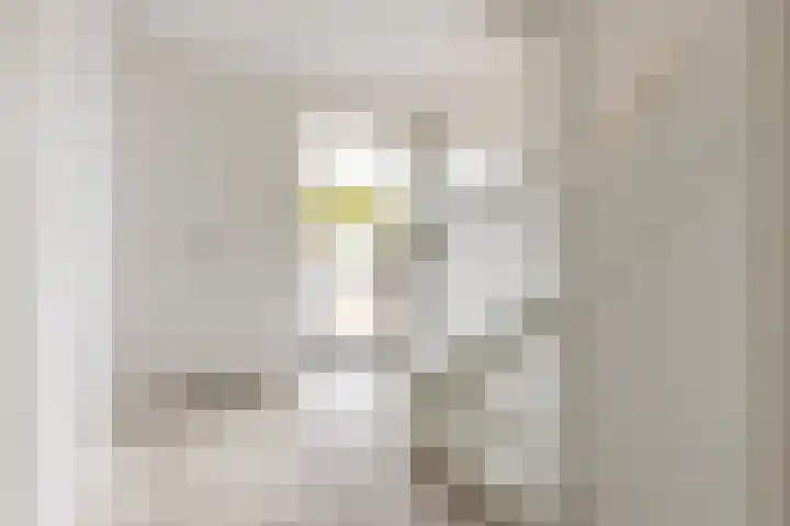 Zomereik 6 Cruquius thumbnail 5