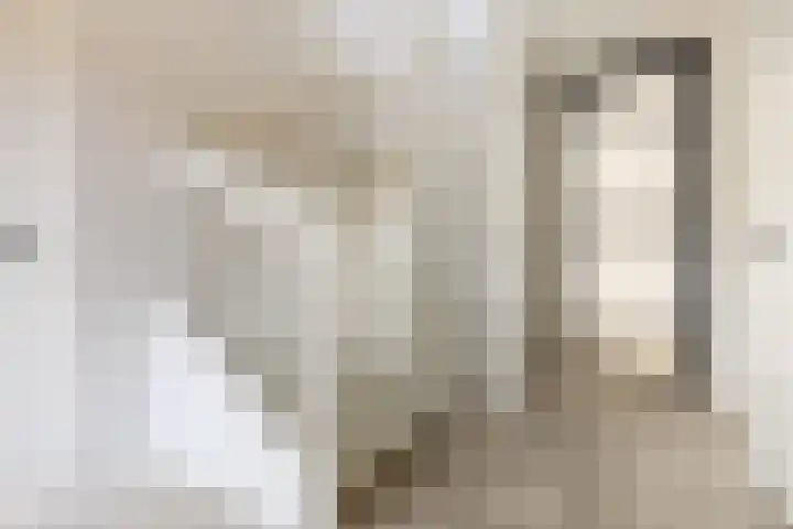 Zomereik 6 Cruquius thumbnail 6