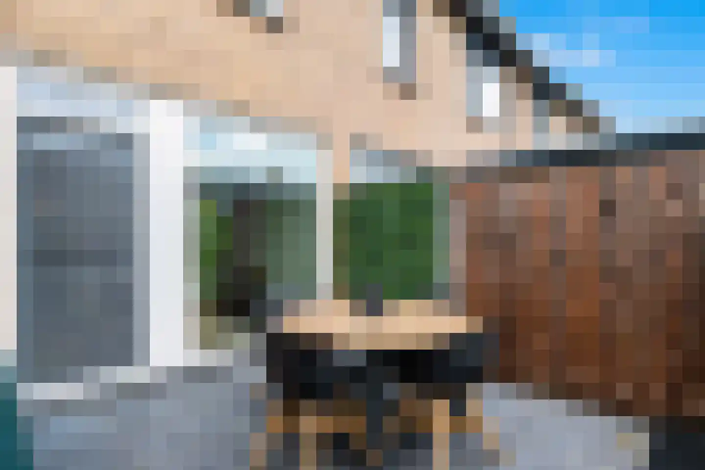 Zomereik 98 Krimpen aan den IJssel thumbnail 30