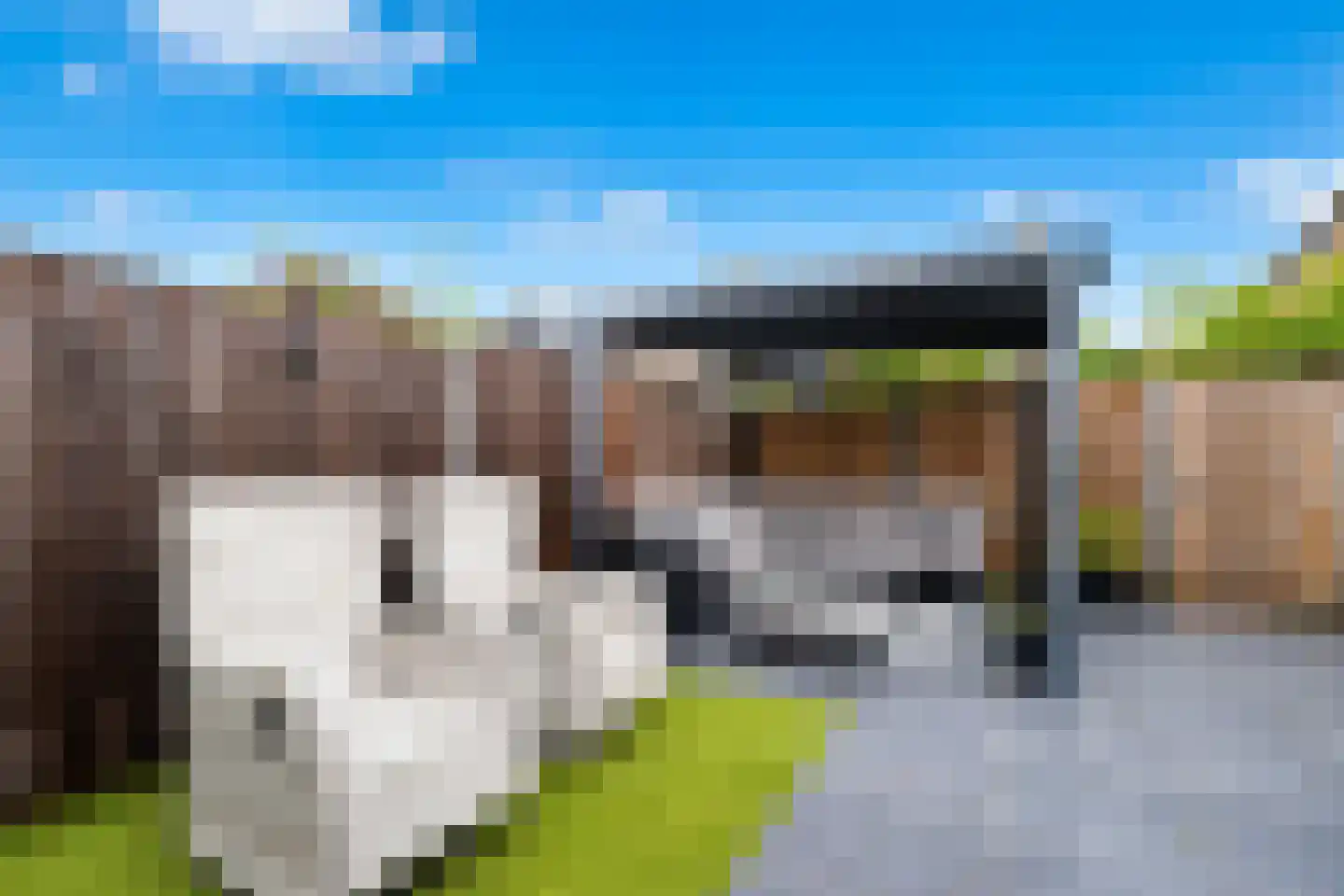 Zomereik 98 Krimpen aan den IJssel thumbnail 31