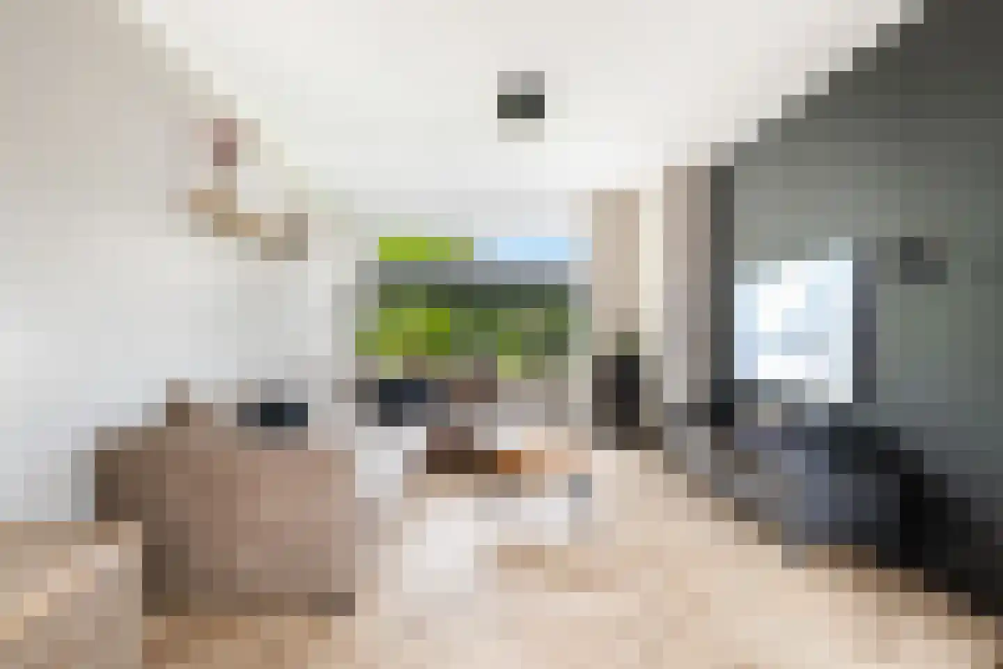 Zomereik 98 Krimpen aan den IJssel thumbnail 9