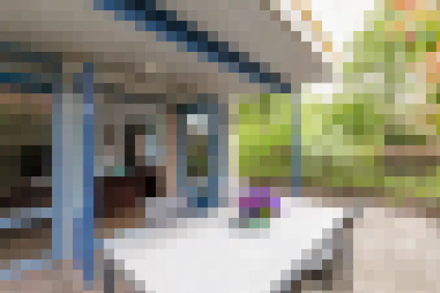 Zomergemstraat 14 Breda thumbnail 32