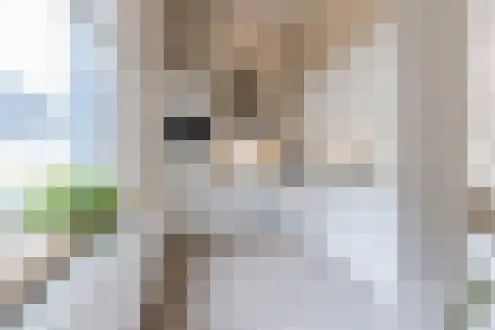 Zomergemstraat 30 Breda thumbnail 31
