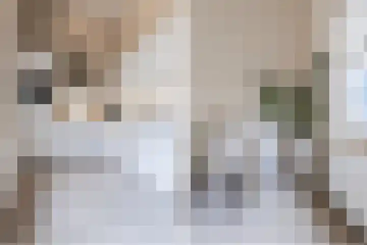 Zomergemstraat 30 Breda thumbnail 33
