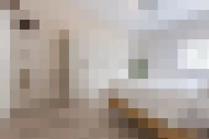 Zomergemstraat 30 Breda thumbnail 35